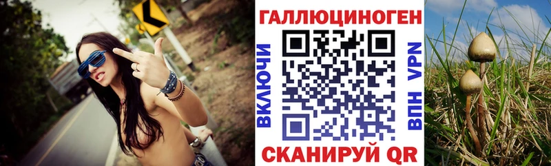 Галлюциногенные грибы ЛСД  наркошоп  Тимашёвск 